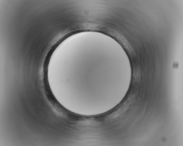 X0000102000674200808151448