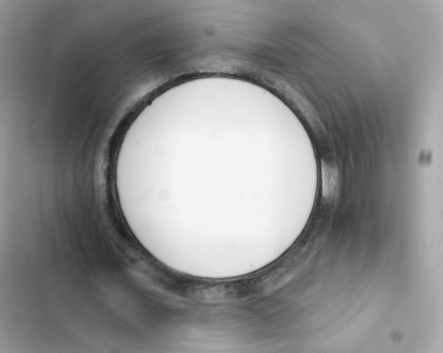 X0000102000675200808151448