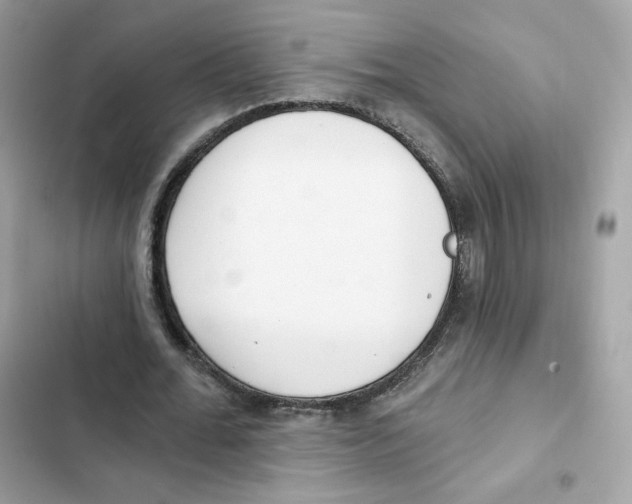 X0000102000676200808151448