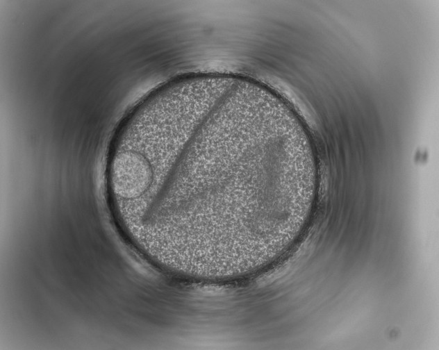 X0000102000677200808151448