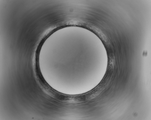 X0000102000678200808151448