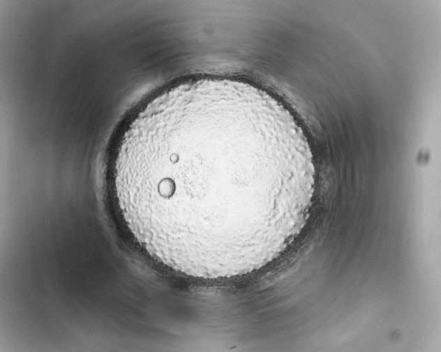 X0000102000679200808151448