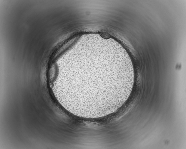 X0000102000681200808151448