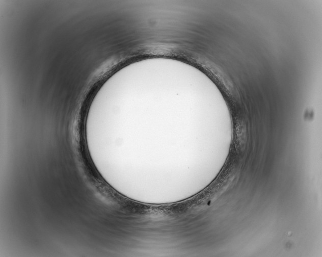 X0000102000682200808151448