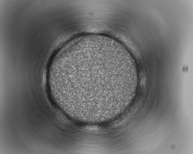 X0000102000685200808151448