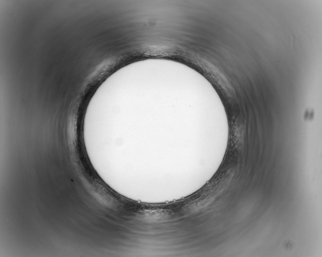 X0000102000686200808151447