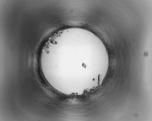 X0000102000688200808151447