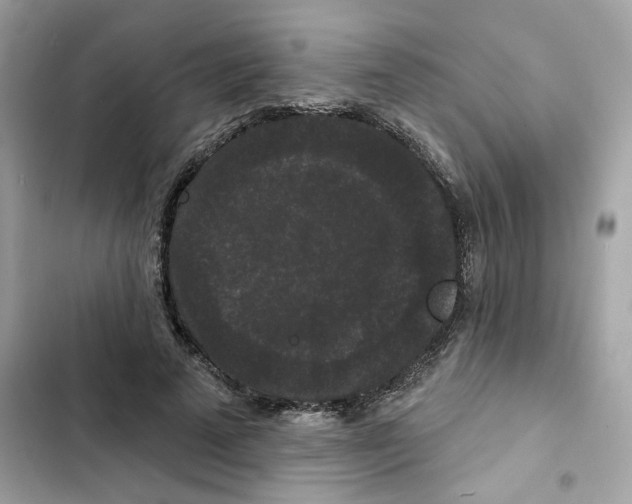 X0000102000689200808151447