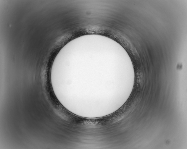 X0000102000690200808151447