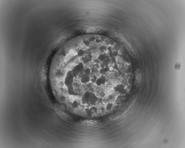 X0000102000691200808151447