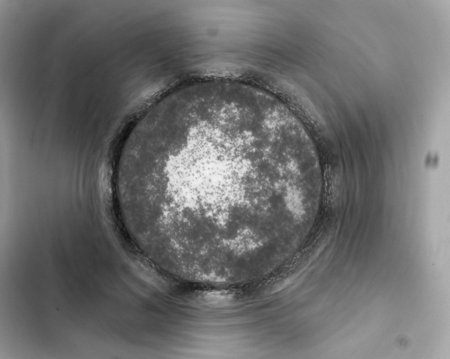 X0000102000692200808151447