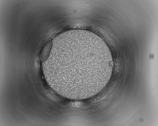 X0000102000695200808151447