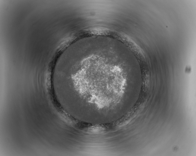 X0000102000696200808151447