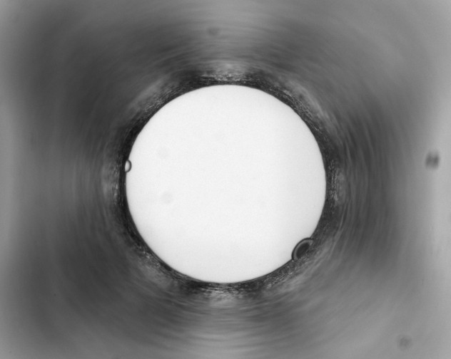 X0000102000697200808151447