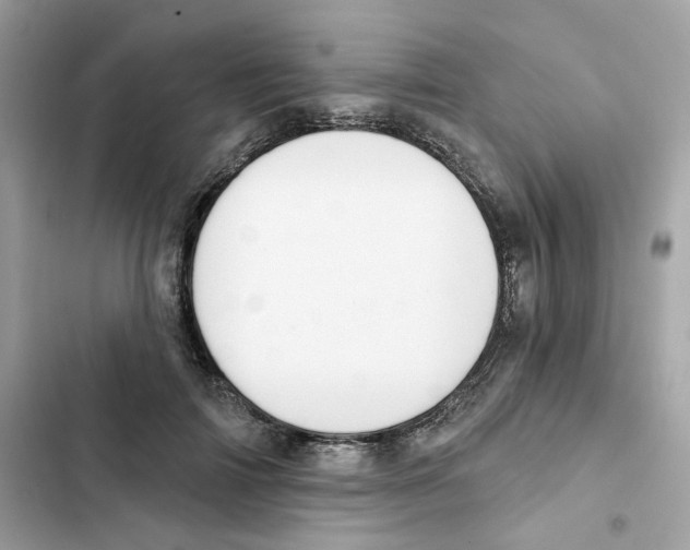 X0000102000698200808151447