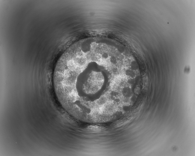 X0000102000699200808151447