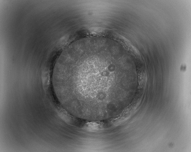 X0000102000703200808151447