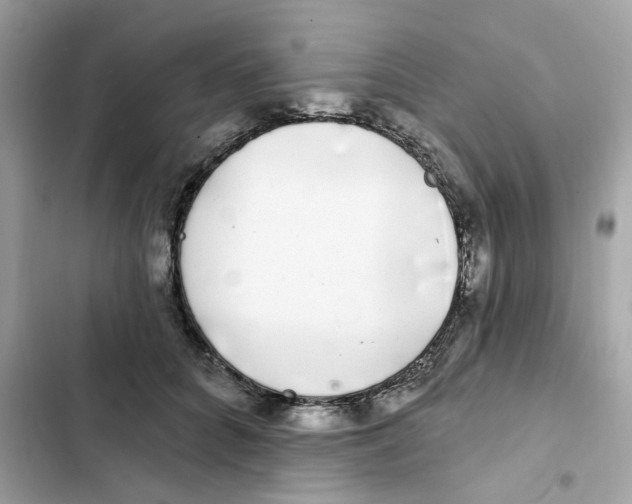 X0000102000704200808151447