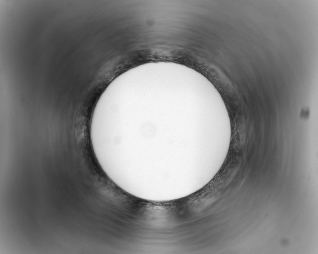 X0000102000706200808151447