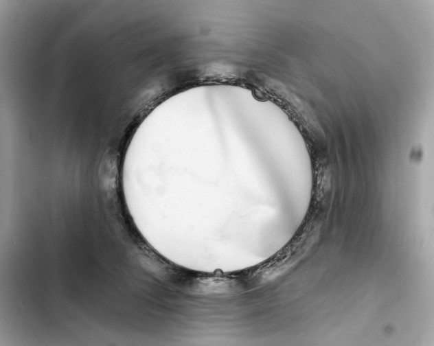 X0000102000708200808151447