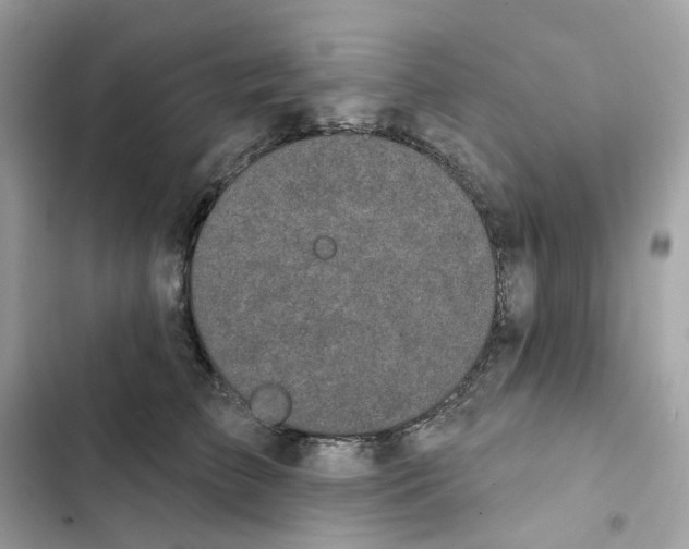 X0000102000709200808151447