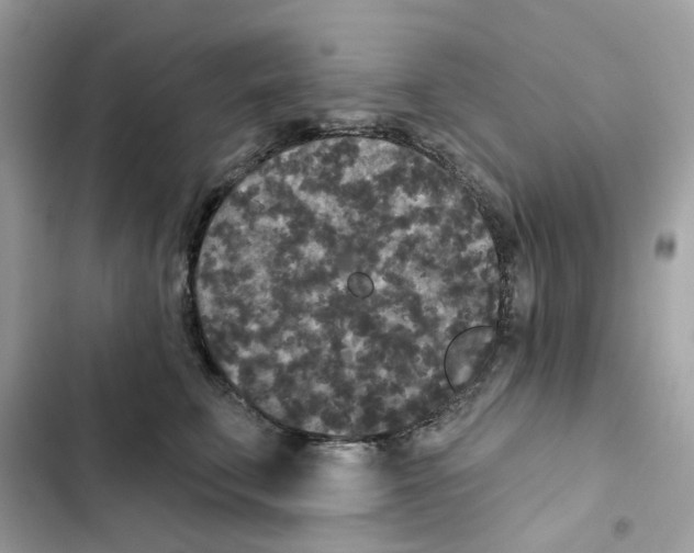 X0000102000711200808151447