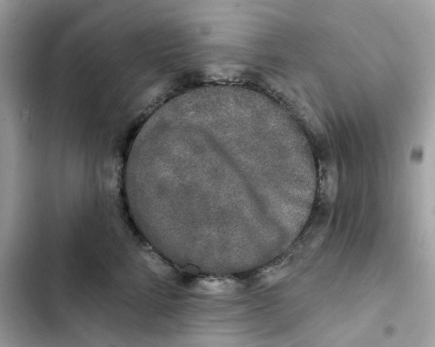 X0000102000712200808151447