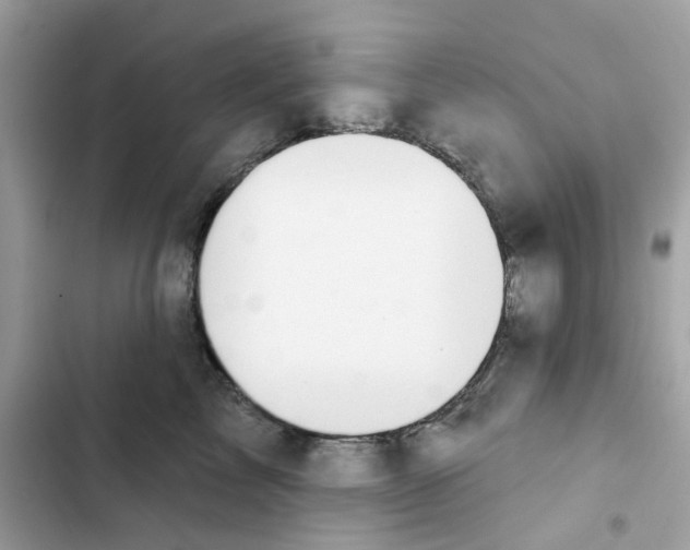 X0000102000713200808151447