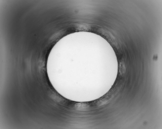 X0000102000714200808151447