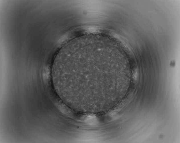 X0000102000715200808151447