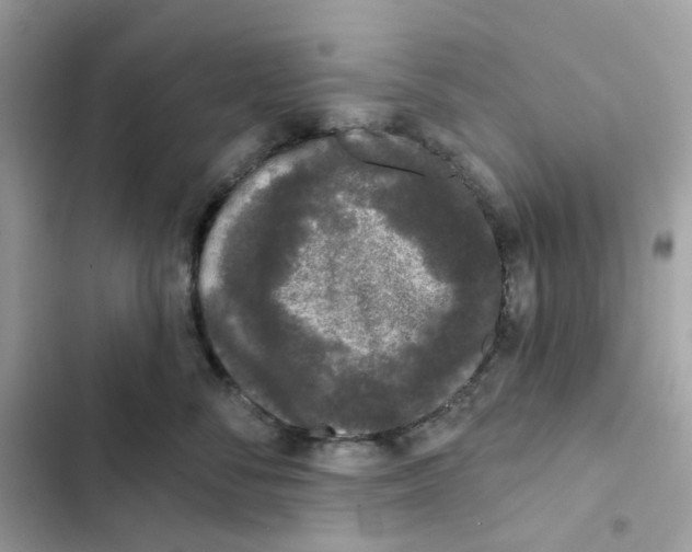 X0000102000716200808151447