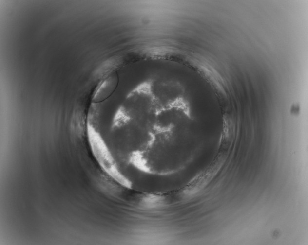 X0000102000718200808151447