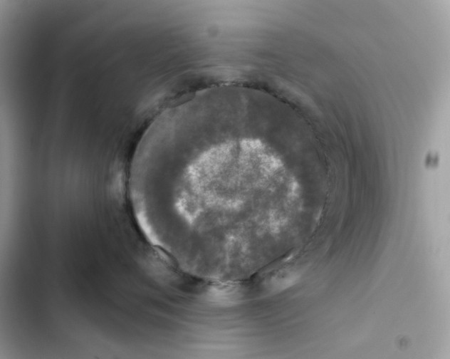 X0000102000720200808151447