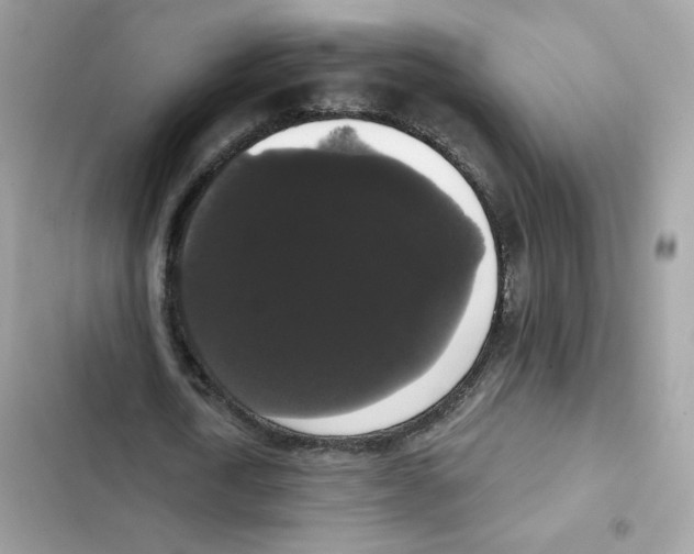 X0000102000722200808151446