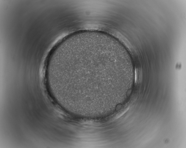 X0000102000723200808151446