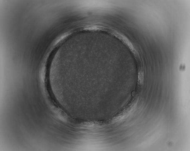 X0000102000724200808151446