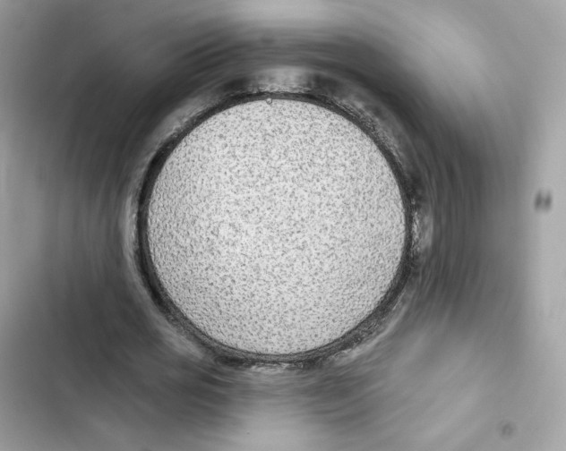 X0000102000725200808151446