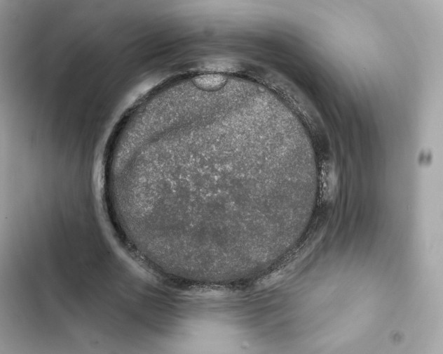 X0000102000726200808151446