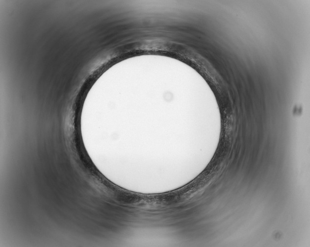 X0000102000727200808151446