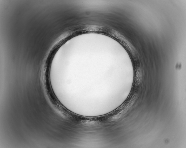 X0000102000730200808151446