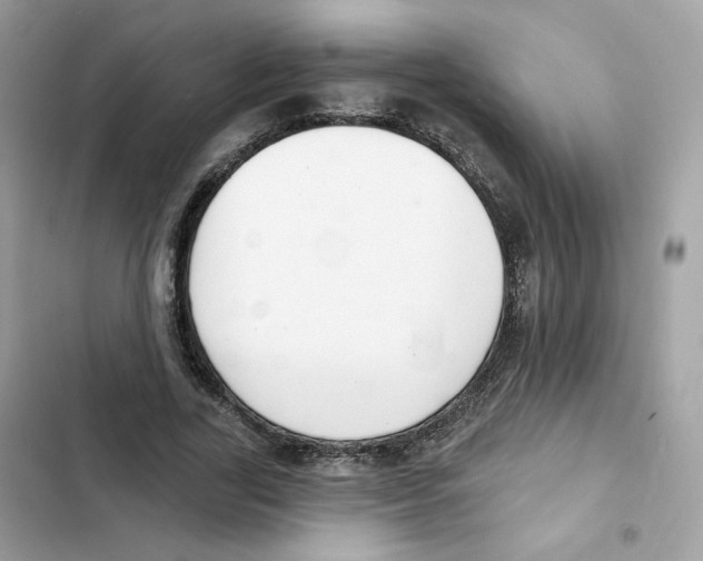 X0000102000731200808151446