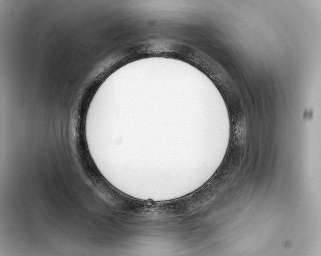 X0000102000732200808151446