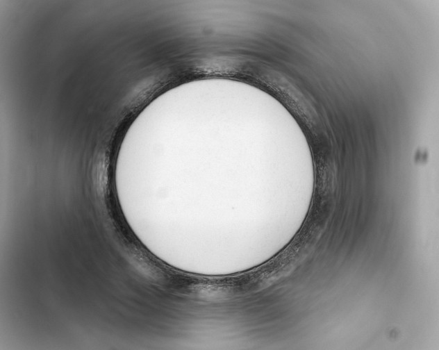 X0000102000733200808151446