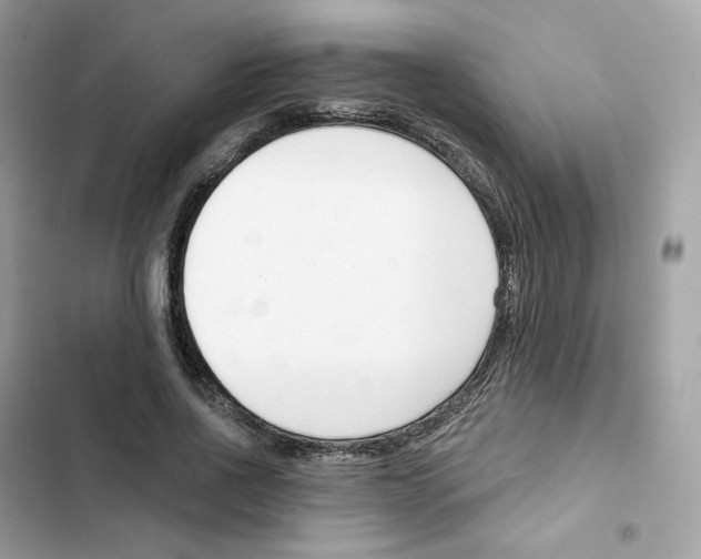 X0000102000734200808151446