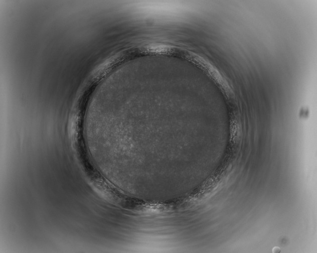 X0000102000736200808151447