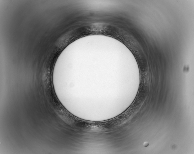 X0000102000737200808151447