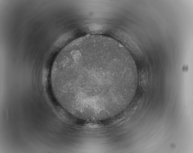 X0000102000742200808151447