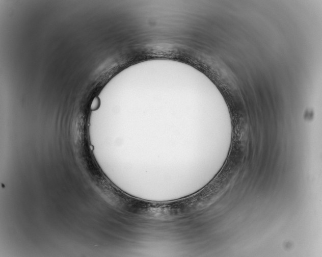 X0000102000744200808151447