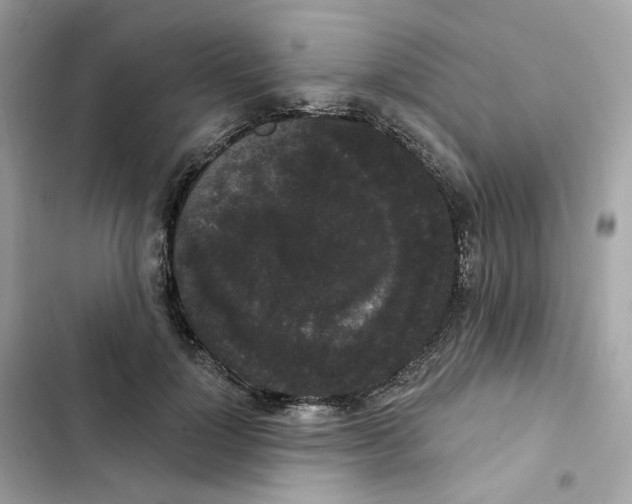 X0000102000748200808151447