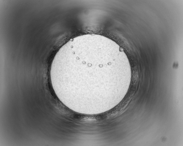 X0000102000749200808151447